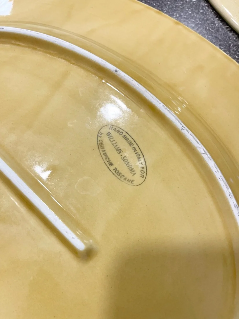 William Sonoma Hand-Painted Floral Ceramic Serving Plates - Yellow and Green
